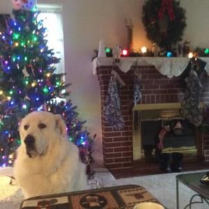 Meet your Posher, Vicki